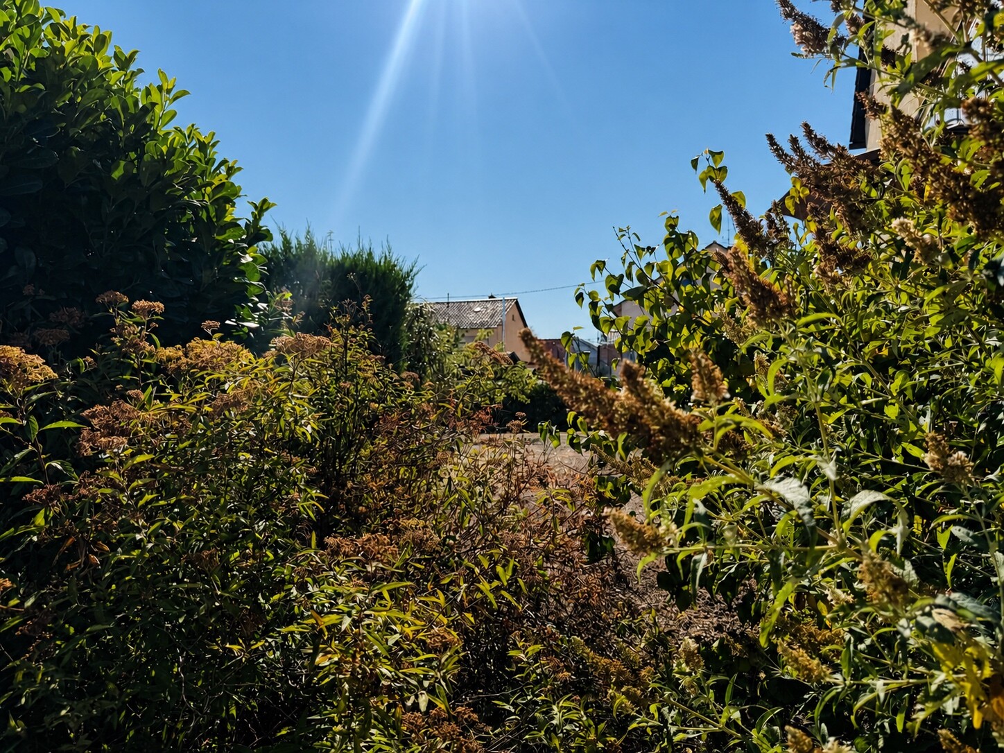 Gartenblick_Außen